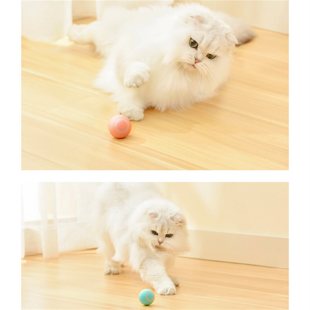 Smart Cat Ball