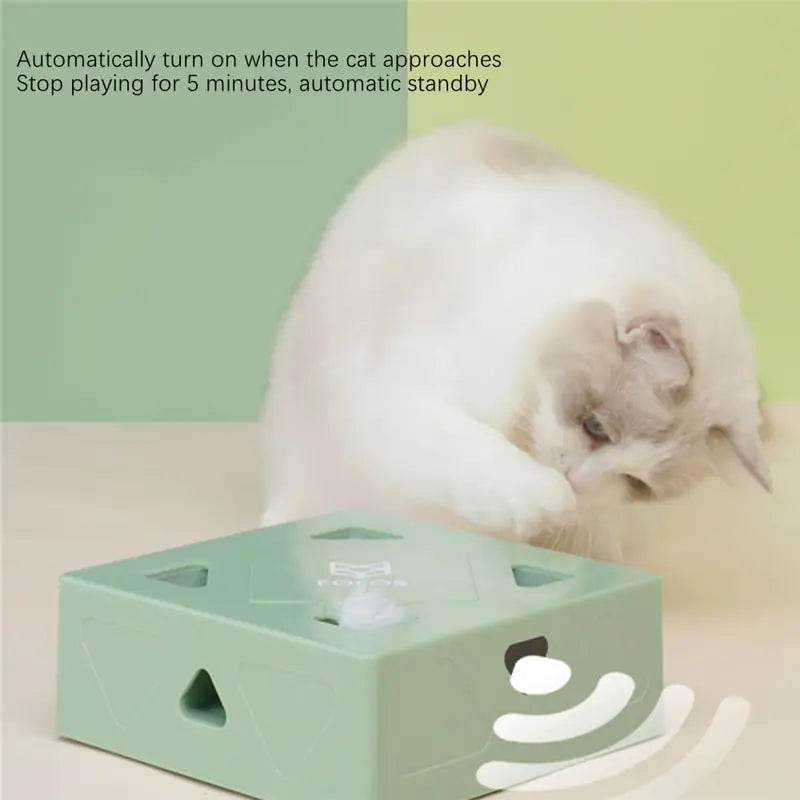 Smart Cat Box