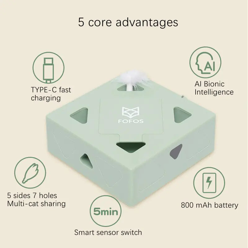 Smart Cat Box