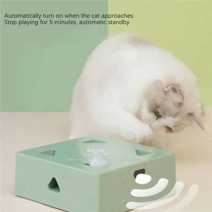 Smart Cat Box