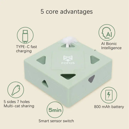 Smart Cat Box